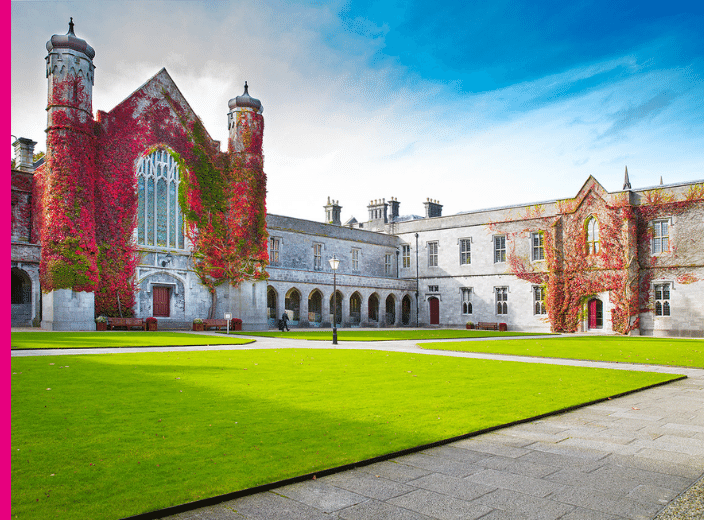 Professional Services Staff