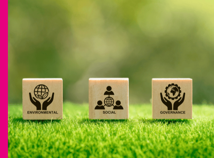 MSc Management and Sustainability